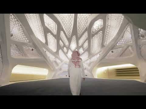 Drone Showcase